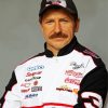 Ralph Dale Earnhardt diamond painting