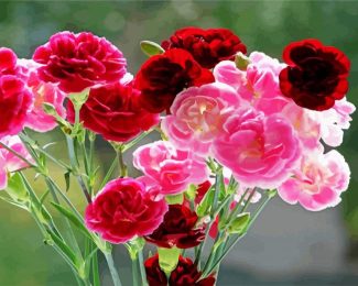 Red And Pink Carnations diamond painting