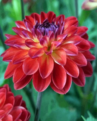 Red Dahlia diamond painting