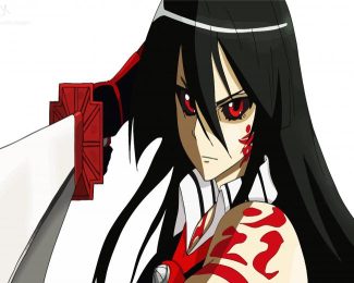 Red Eyes Akame diamond painting