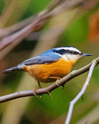 Red Breasted Nuthatch Bird diamond painting