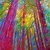 Redwoods Art diamond painting