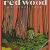 Redwoods National Park Poster diamond painting