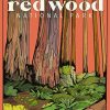 Redwoods National Park Poster diamond painting