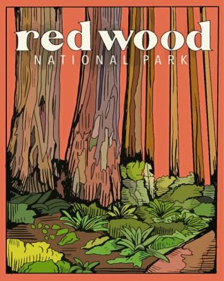 Redwoods National Park Poster diamond painting