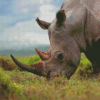 Rhinoceros diamond painting