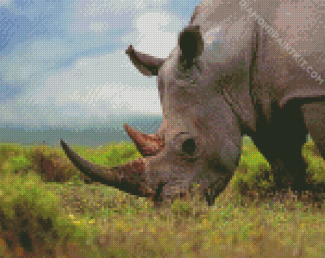 Rhinoceros diamond painting