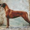 Rhodesian Ridgeback diamond painting