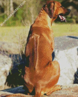 Rhodesian Ridgeback Back diamond painting