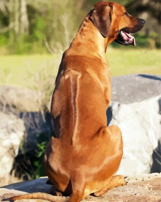 Rhodesian Ridgeback Back diamond painting