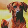 Rhodesian Ridgeback Brown Dogs diamond painting