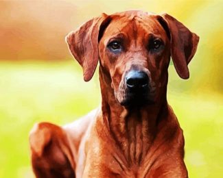 Rhodesian Ridgeback Brown Dogs diamond painting