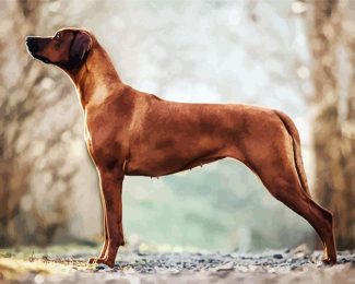 Rhodesian Ridgeback diamond painting