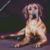 Rhodesian Ridgeback Dog diamond painting