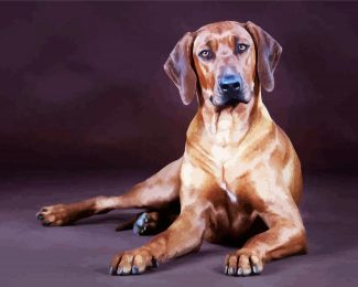 Rhodesian Ridgeback Dog diamond painting