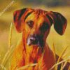 Rhodesian Ridgeback Face diamond painting