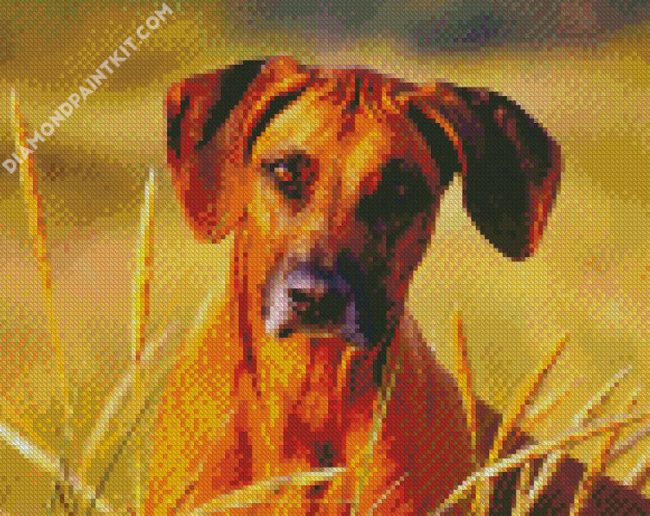 Rhodesian Ridgeback Face diamond painting