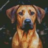 Rhodesian Ridgeback Head diamond painting