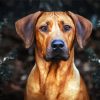 Rhodesian Ridgeback Head diamond painting