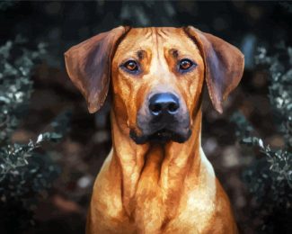 Rhodesian Ridgeback Head diamond painting