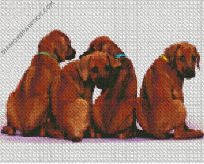 Rhodesian Ridgeback Puppies diamond painting