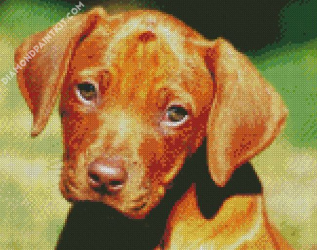 Rhodesian Ridgeback Puppy diamond painting