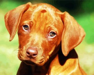 Rhodesian Ridgeback Puppy diamond painting