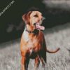 Ridgeback Dog diamond painting