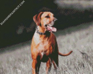 Ridgeback Dog diamond painting