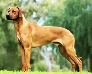 Ridgeback Dogs diamond painting