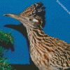 Roadrunner Bird diamond painting