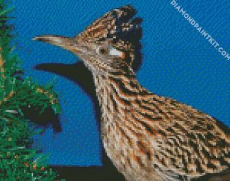 Roadrunner Bird diamond painting