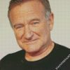 Robin Williams Actor diamond painting