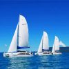 Sailing Catamarans diamond painting