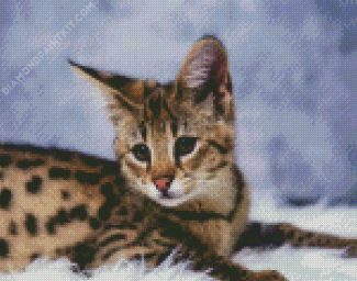 Savannah Cat diamond painting