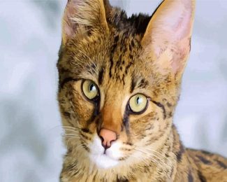 Savannah Cat Face diamond painting