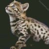 Savannah Kitten diamond painting