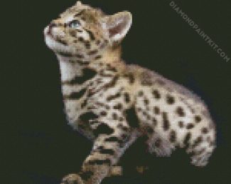 Savannah Kitten diamond painting