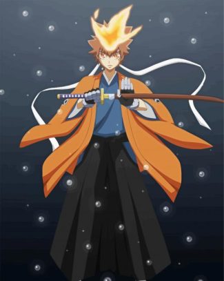 Sawada Tsunayoshi Reborn Anime diamond painting