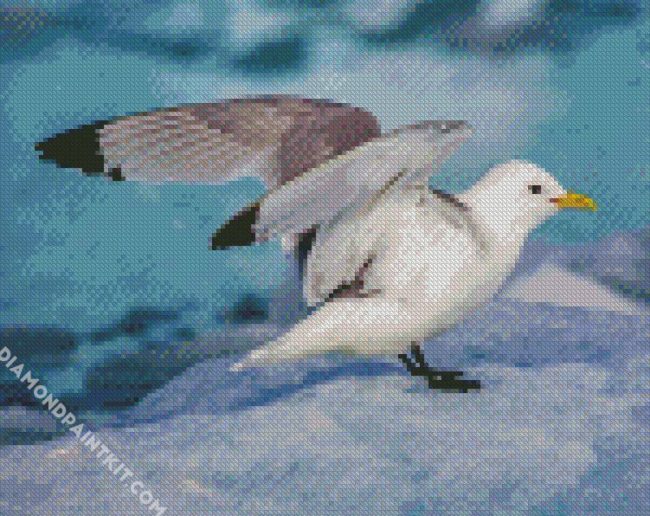 Seabird diamond painting