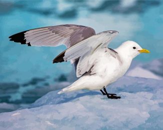 Seabird diamond painting