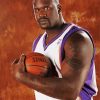 Shaq Basketball Player diamond painting