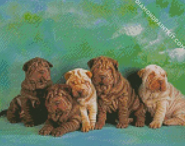 Shar Pei Puppies diamond painting