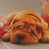 Sleepy Shar Pei diamond painting