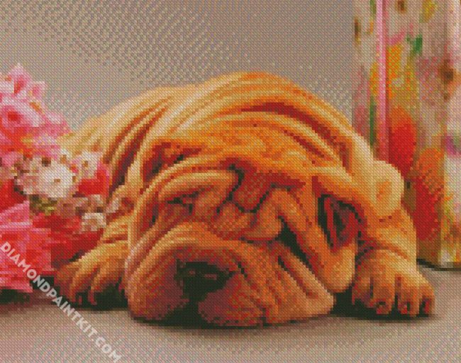 Sleepy Shar Pei diamond painting