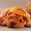 Sleepy Shar Pei diamond painting