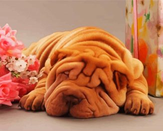 Sleepy Shar Pei diamond painting