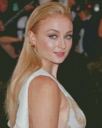 Sophie Turner diamond painting