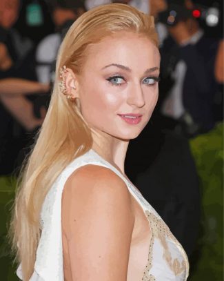 Sophie Turner diamond painting