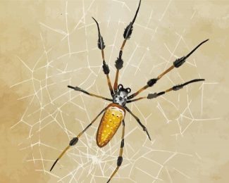 Spider Art diamond painting